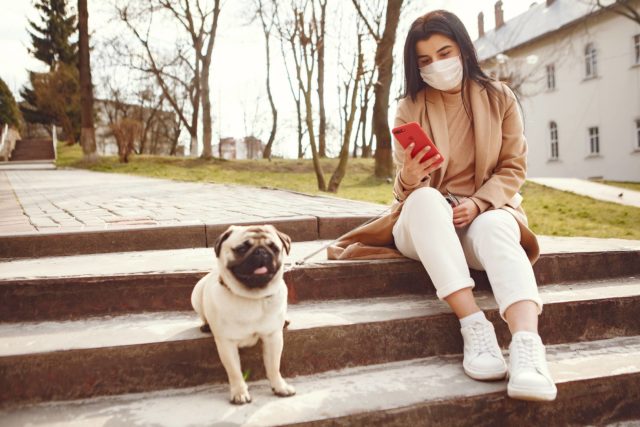 A pug sits on outdoor steps next to a woman in a mask