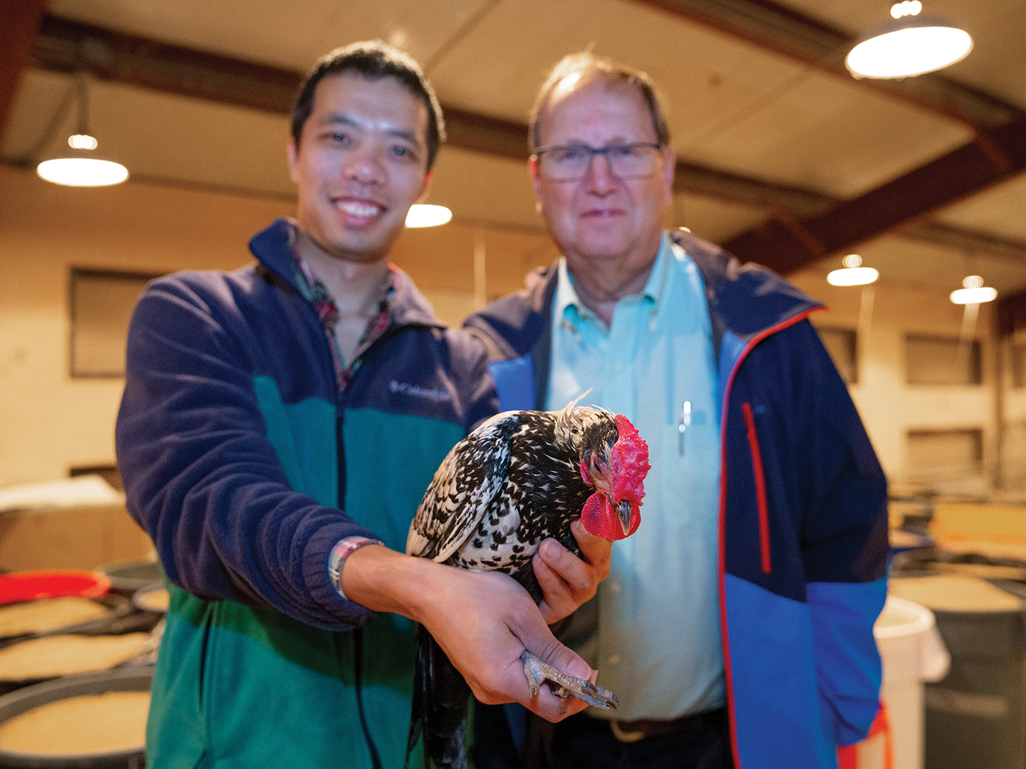 Dr. Jingyi Li holds a chicken out to the camera, standing next to Dr. Leif Andersson