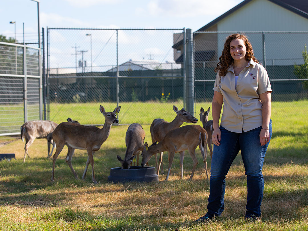 A woman stands next to a herd of deer