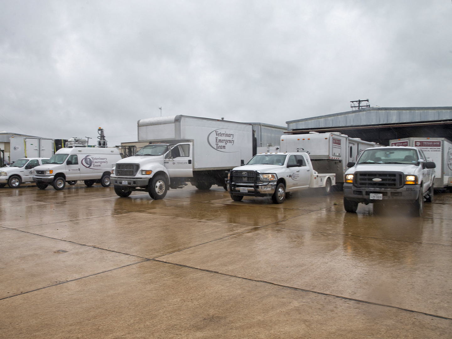 Veterinary Emergency Team Trucks lined up to deploy