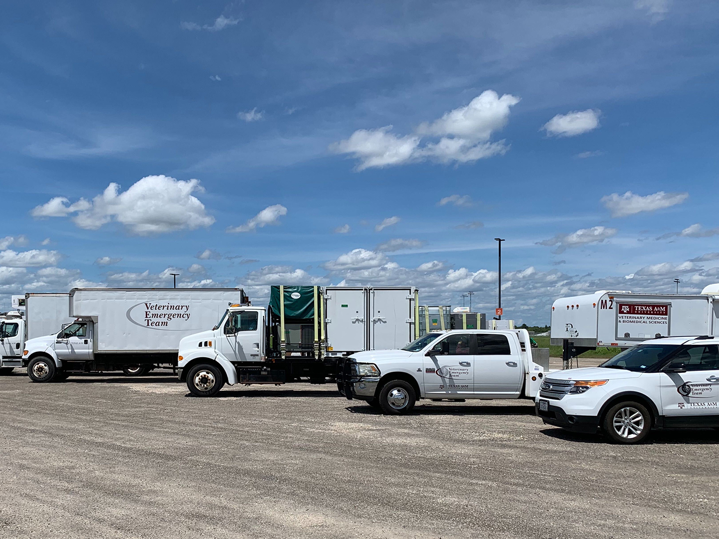 A row of Veterinary Emergency Team trucks under a clear, blue sky