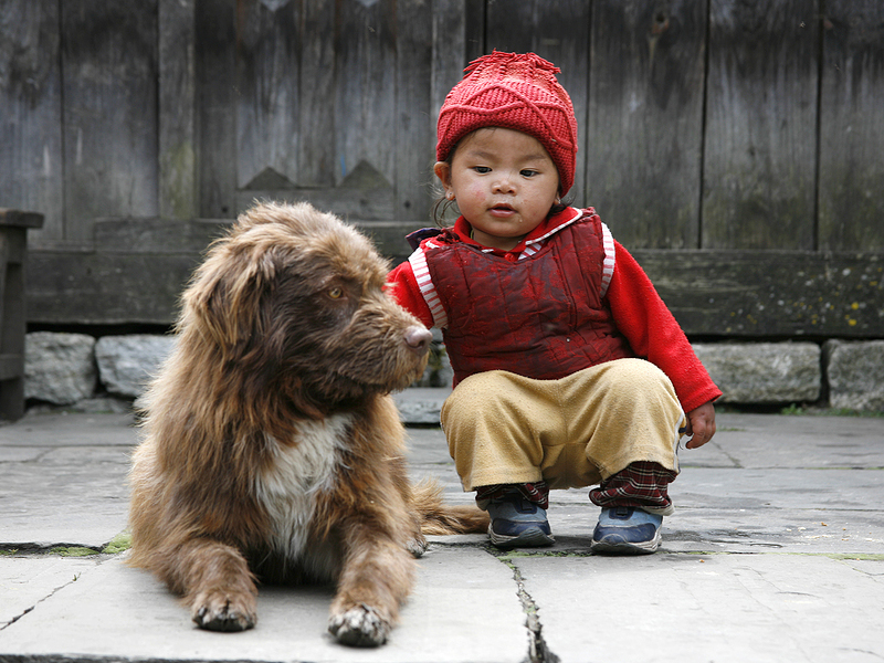 A young boy pets a dog