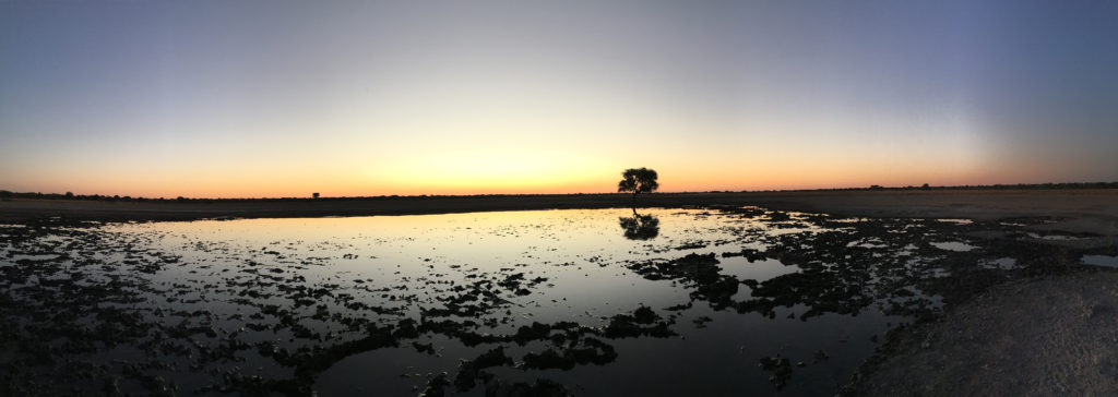 An African sunset seen by Haschke during her study abroad trip to Africa