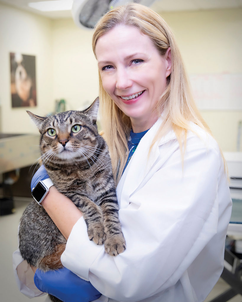 Dr. Heather Wilson-Robles holding a cat