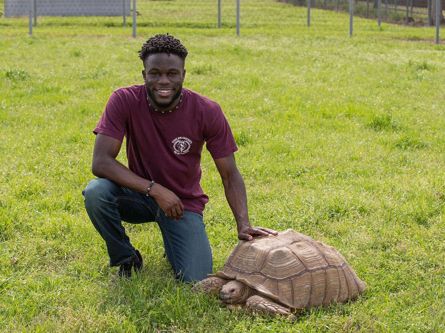 Austin Warren and a tortoise