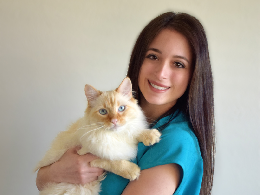 Veterinary student Rachel Ellerd in blue scrubs holding Iroh the cream colored cat