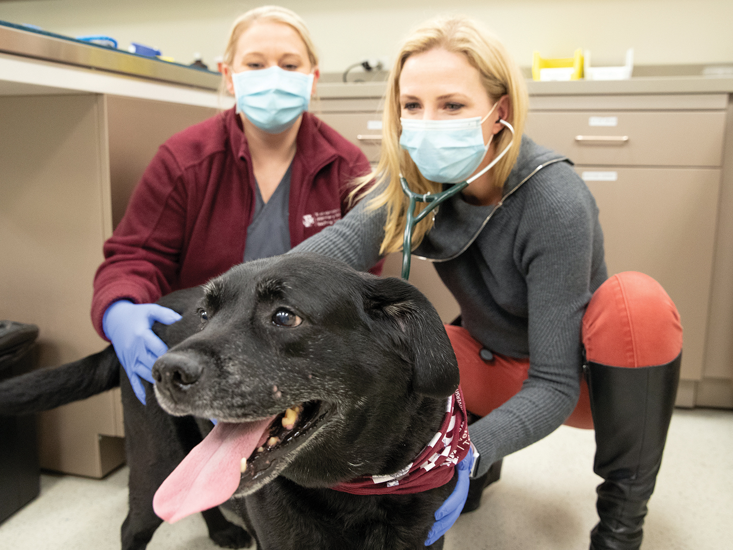 A vmth veterinary technician and veterinarian with Lilly the black lab