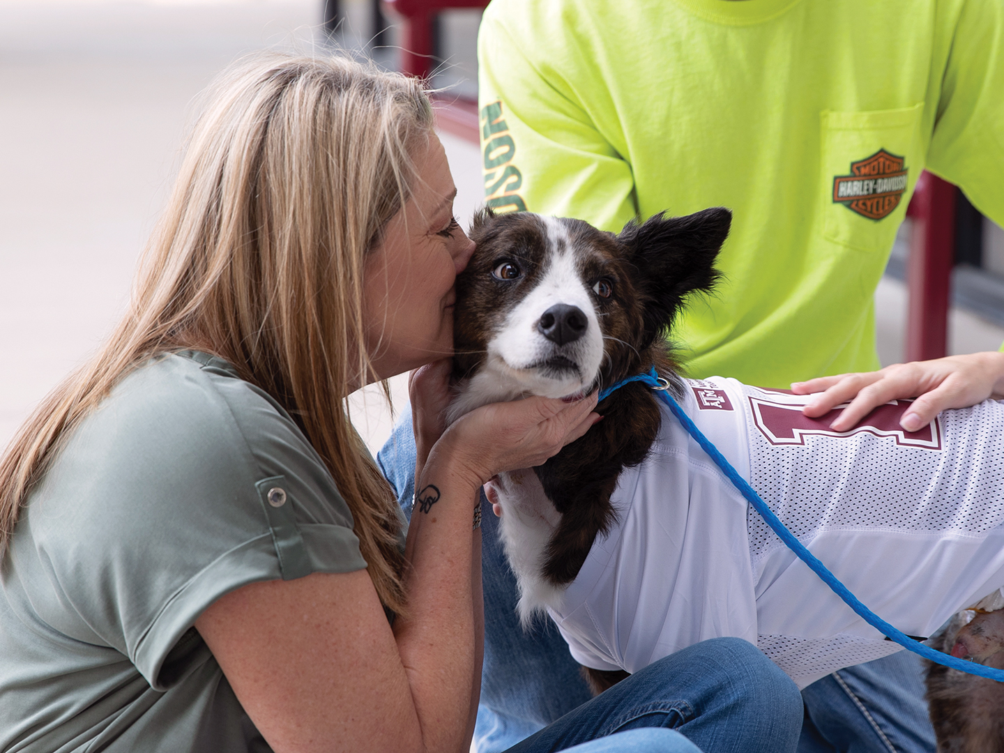 Texas A&M Small Animal Hospital Saves Lucky Dog After Car Accident