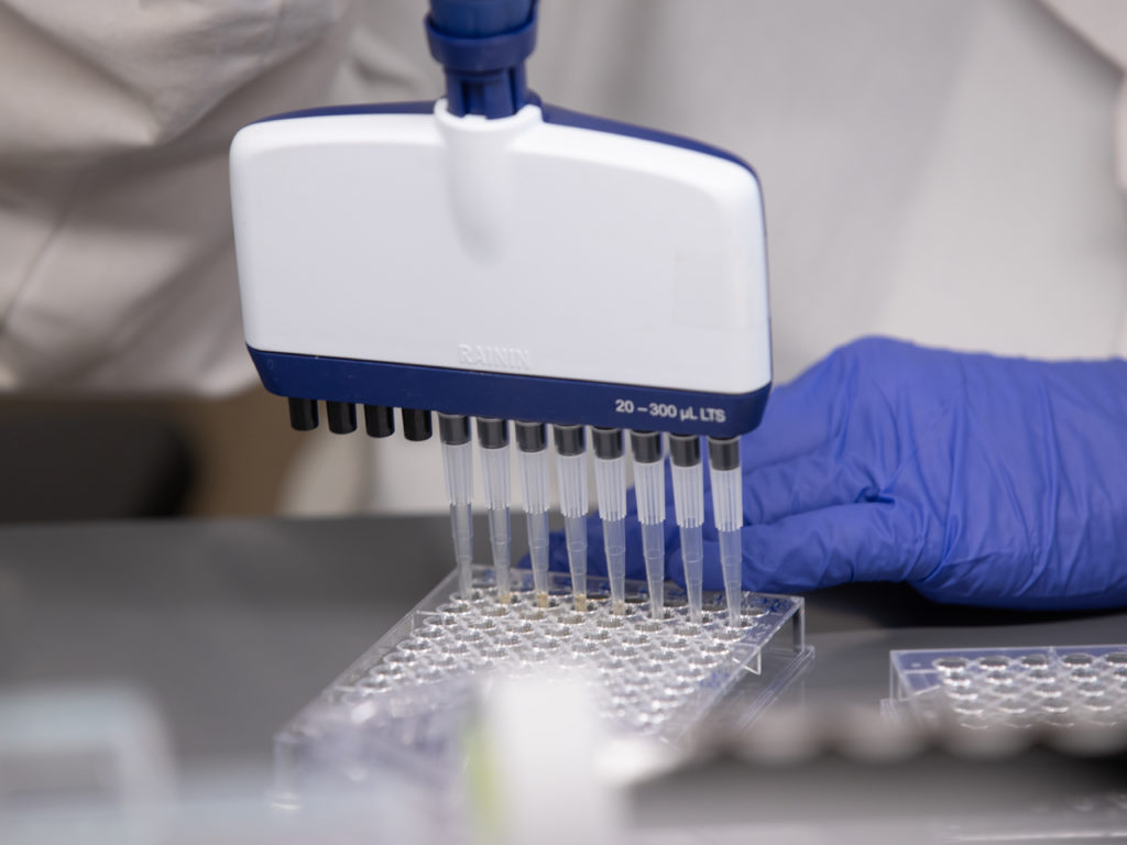 Samples being put into a tray with a pipette