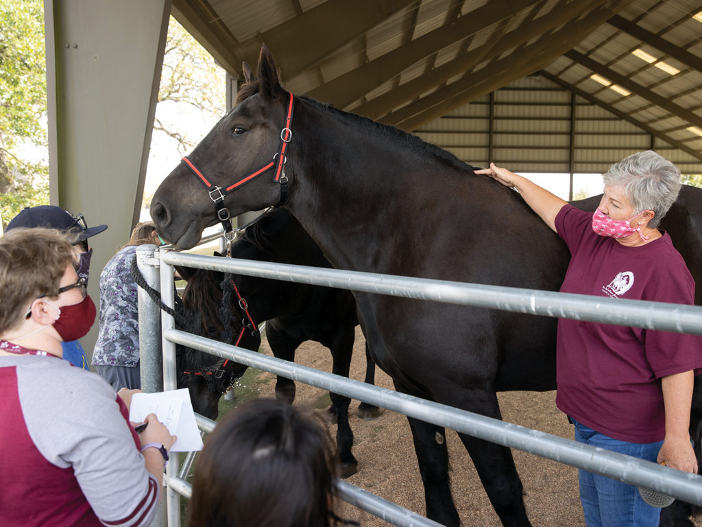 A woman talks to Aggie ACHIEVE students about a large black horse she is petting