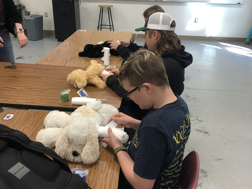Three high school students practice bandaging stuffed animals