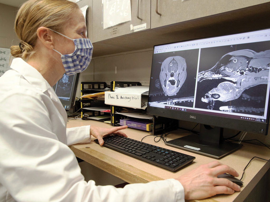 A woman in a white lab coat looks at scans of a dog's brain on a computer