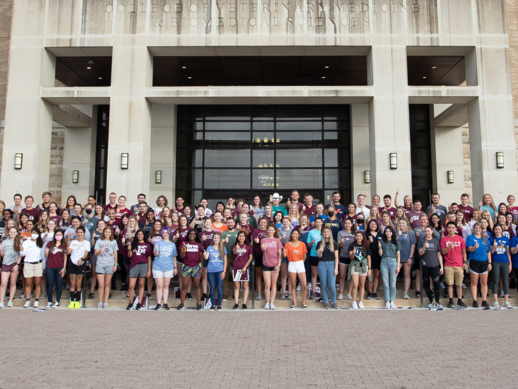 Texas A&M Largest Veterinary Class In The Nation