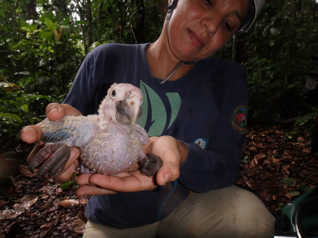 a woman holding a featherless baby bird toward the camera