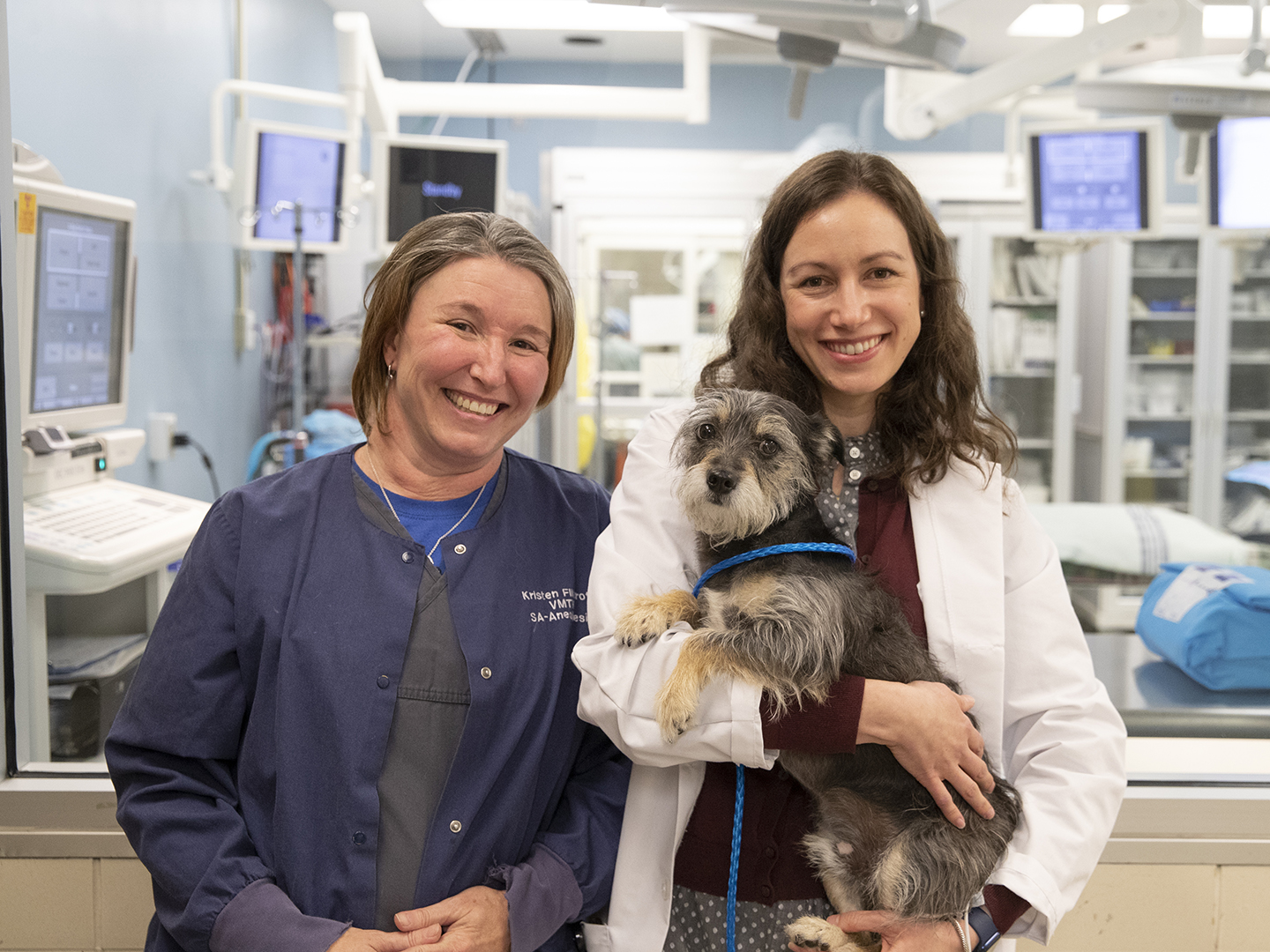 A technician and doctor holding a dog in front of the catheterization lab