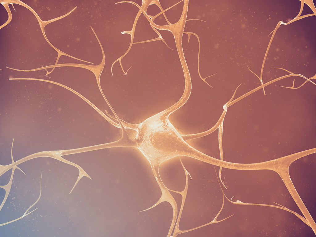 artist's depiction of neurons