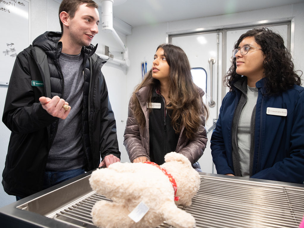 Three veterinary students discuss a stuffed animal patient laying on a metal table