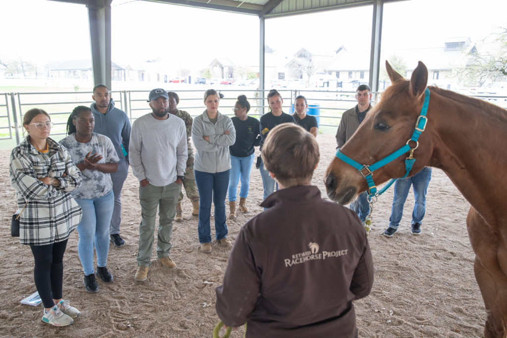 Dr. Shannon Reed stands with a horse in front of a group of people