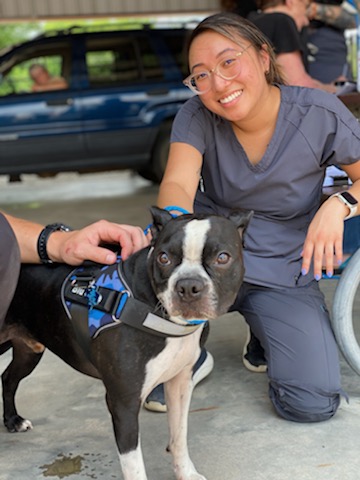 veterinary technician and a boston terrier