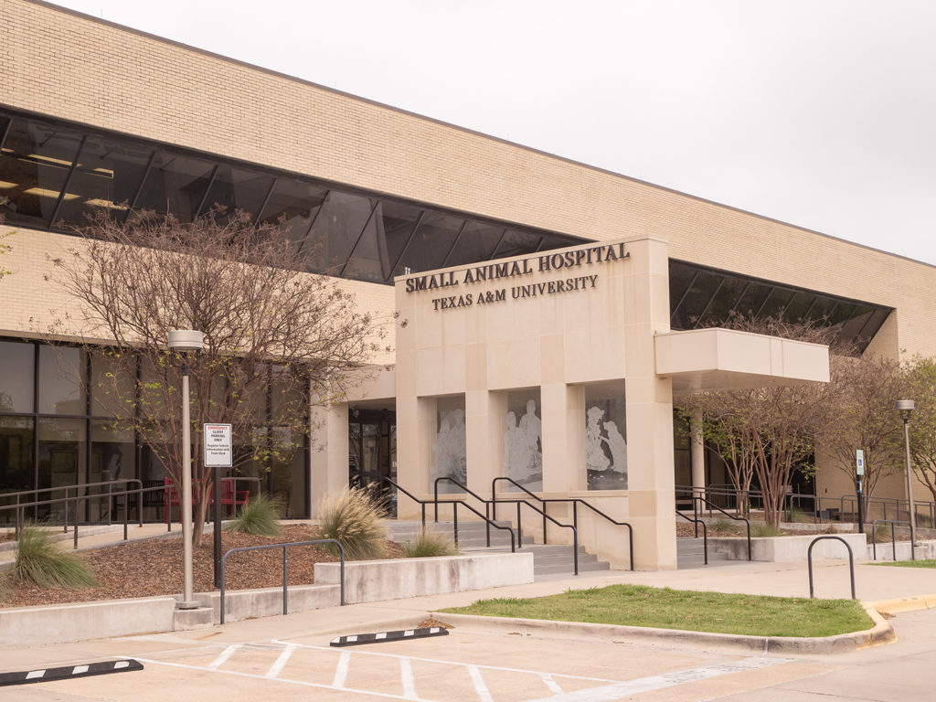 Texas A&M Veterinary Teaching Hospital Re-Accredited By AAHA