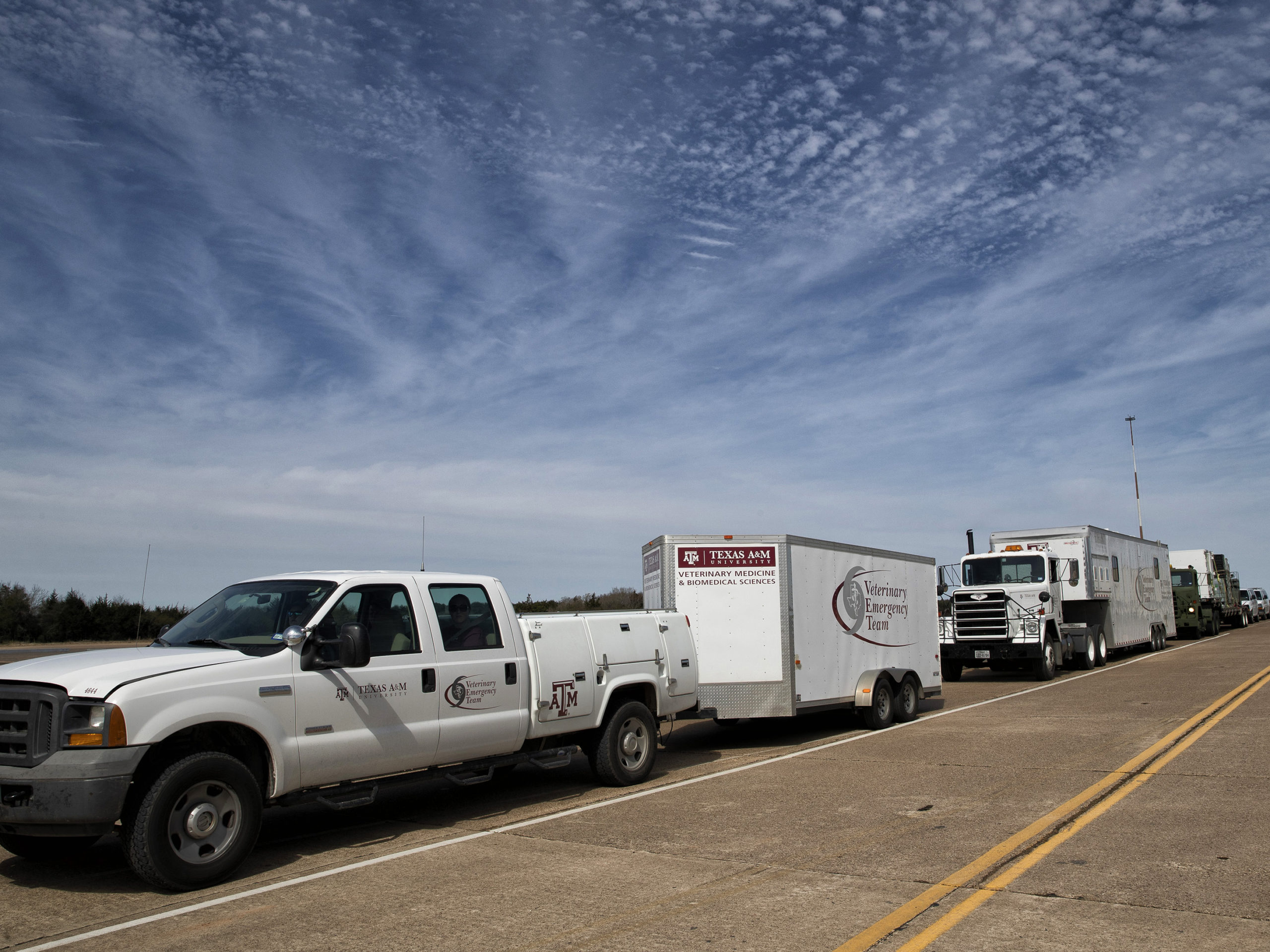 A caravan of Veterinary Emergency Team vehicles on the road