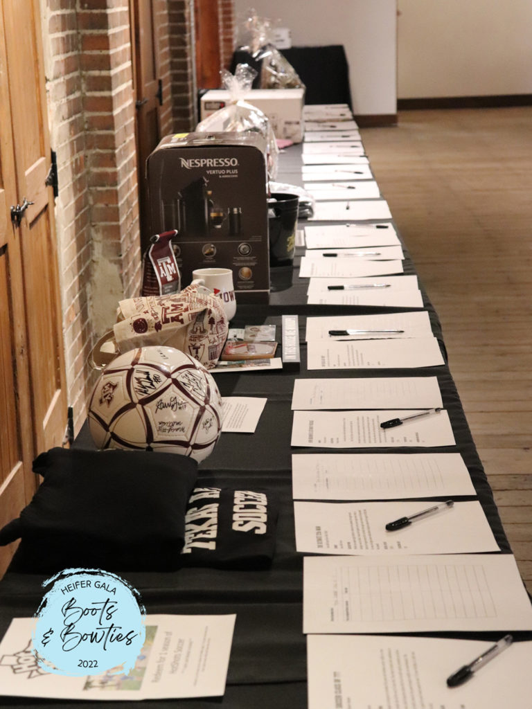 Row of silent auction items