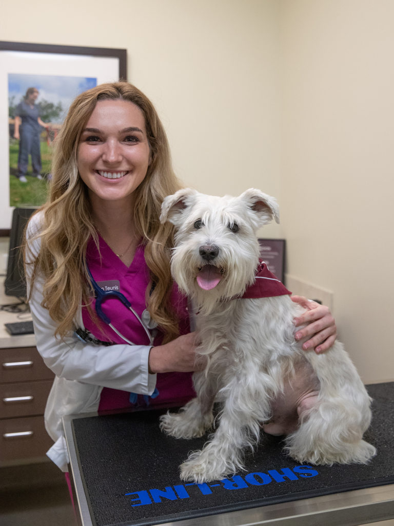 Max the white schnauzer with veterinary student Allison Teunis