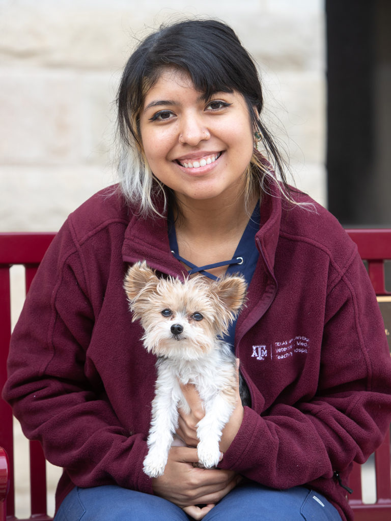 Veterinary student in a maroon jacket holding a small yorkie
