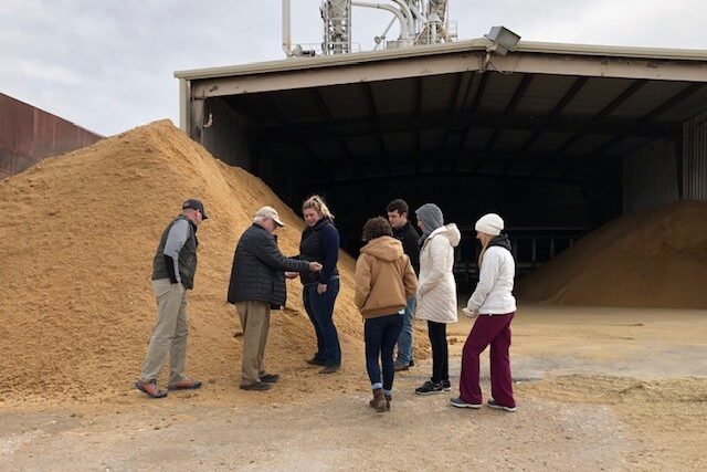 VERO faculty and students inspecting feed