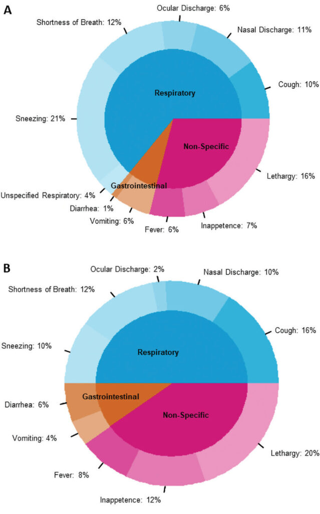 Two pie charts showing prevalence of certain covid-19 symptoms in cats and dogs