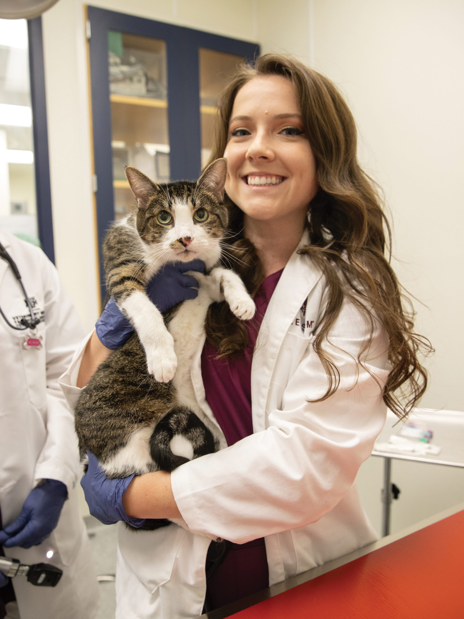 A veterinary student in a white coat holding a tabby cat