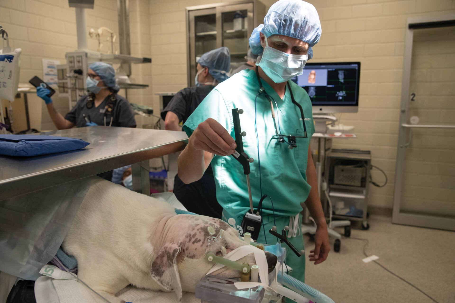 Texas A&M Envisioning NextGeneration Small Animal Hospital