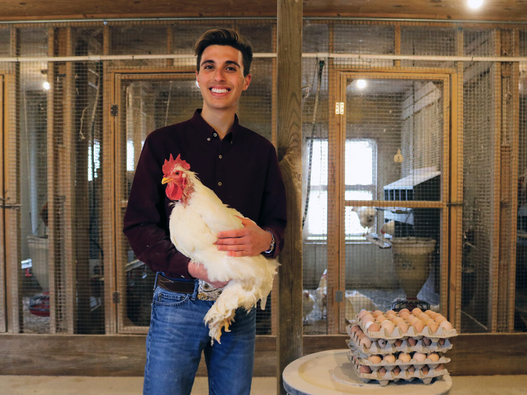 Sousa holding a white rooster inside a chicken coop