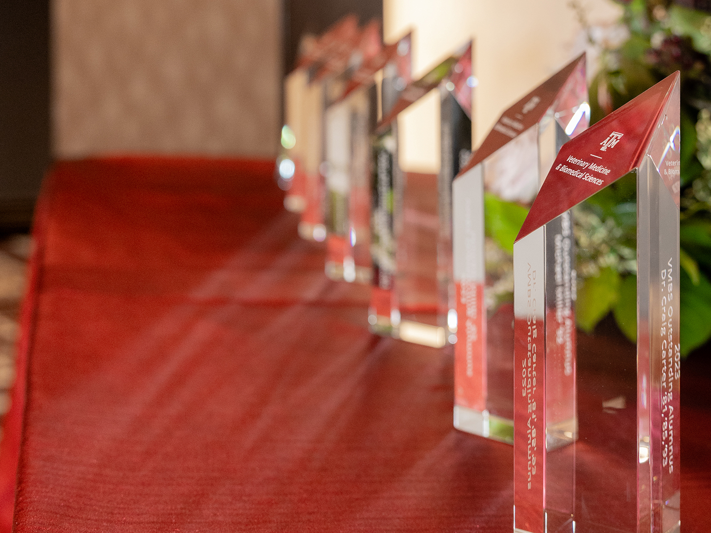The outstanding alumni awards lined up in a row