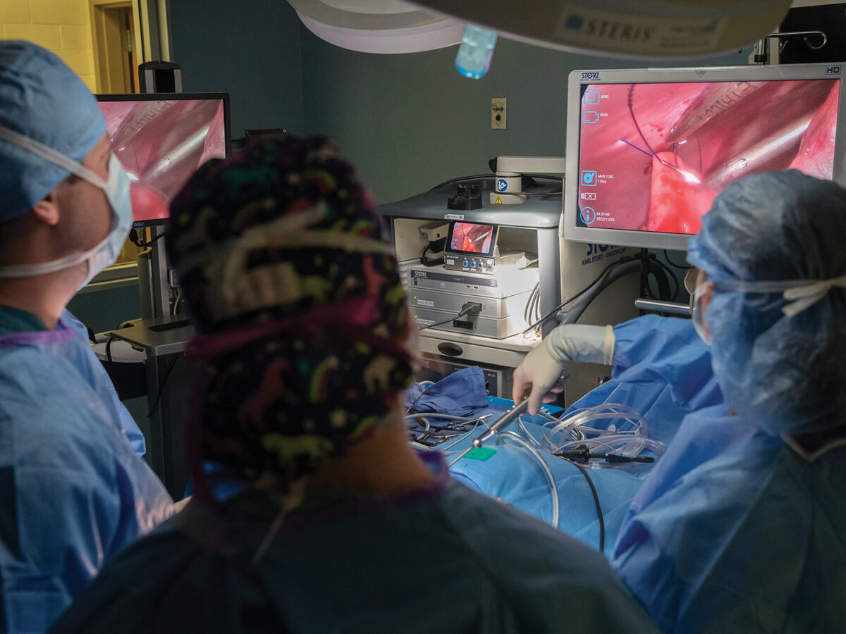 Vmbs Professor Trains On New Robotic Assisted Surgery System