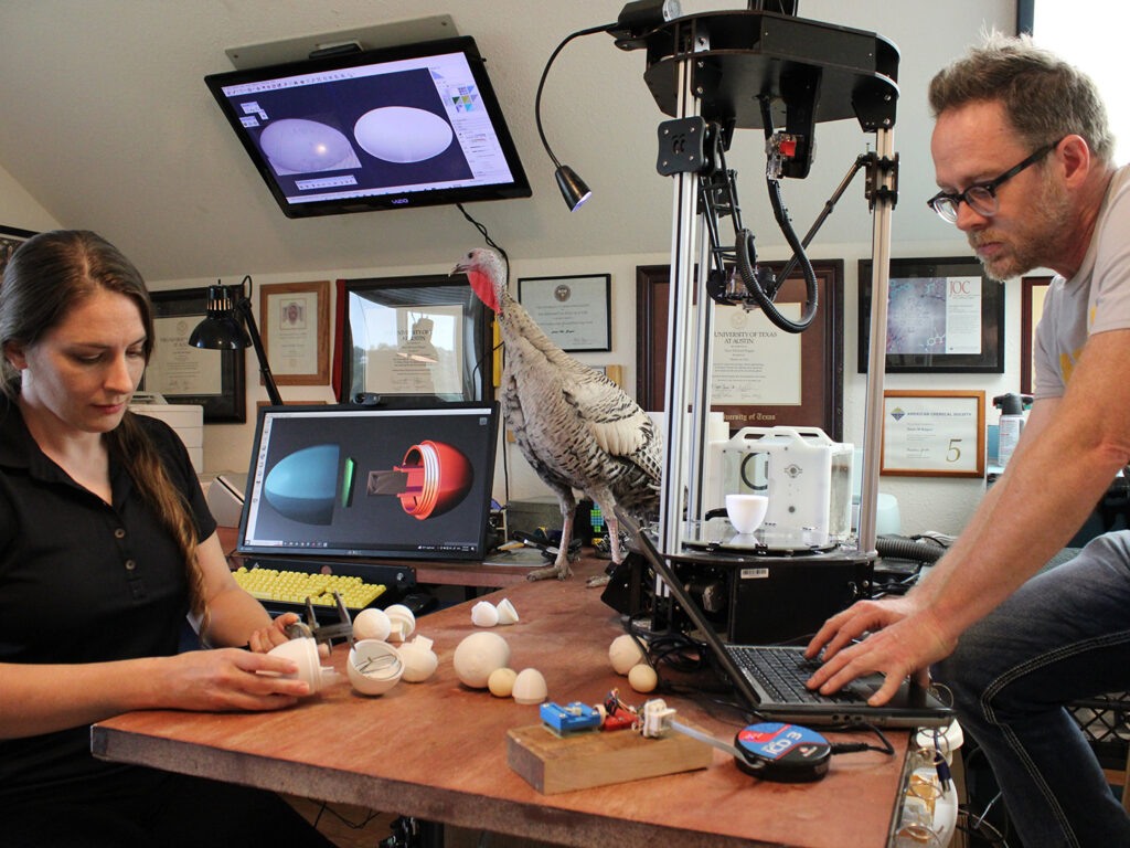 Woodman measures an egg and Ragan works on his computer while a turkey walks across their desk