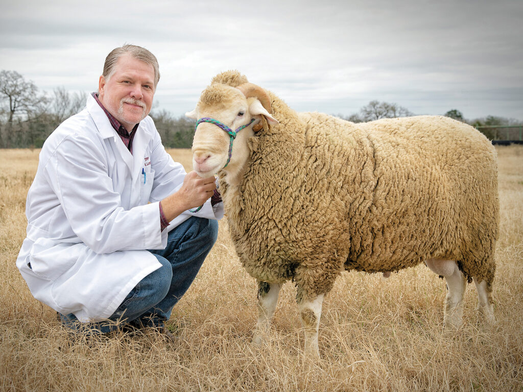 Dr. Charles Long with a sheep