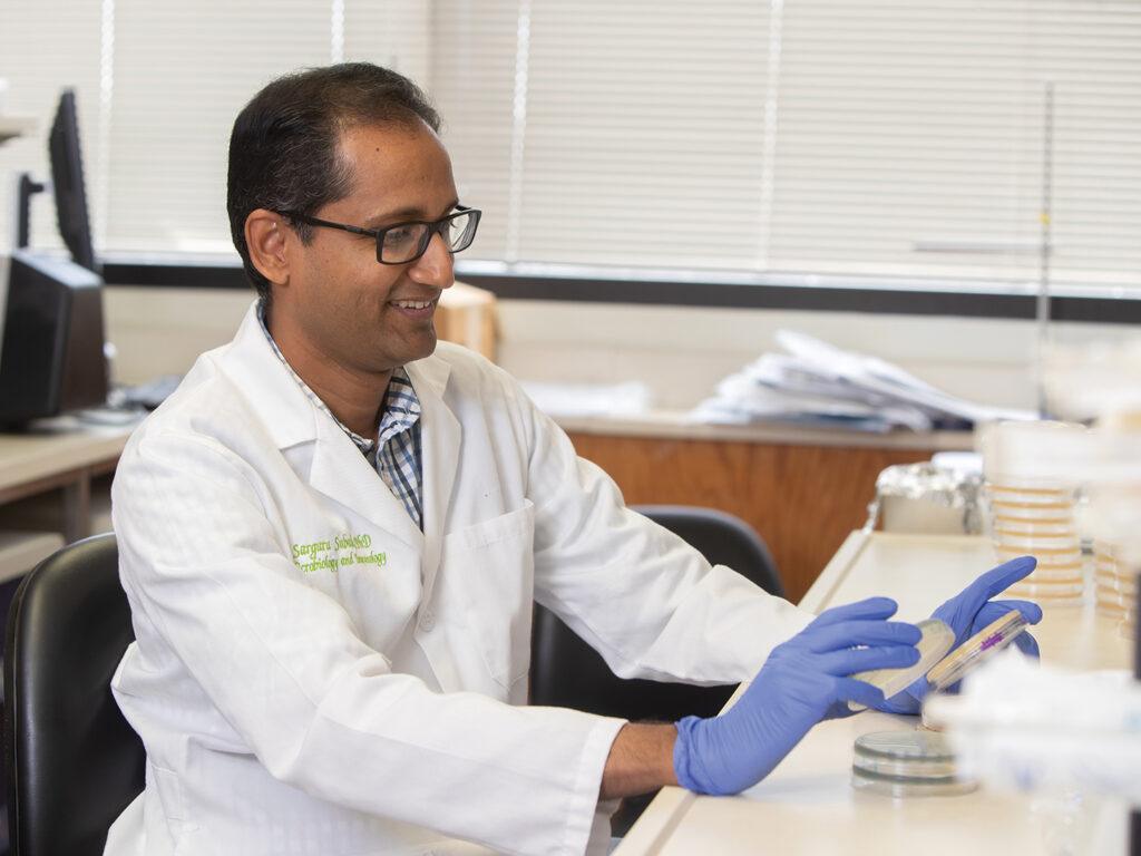Dr. Sarguru Subash examining a petri dish in his research lab