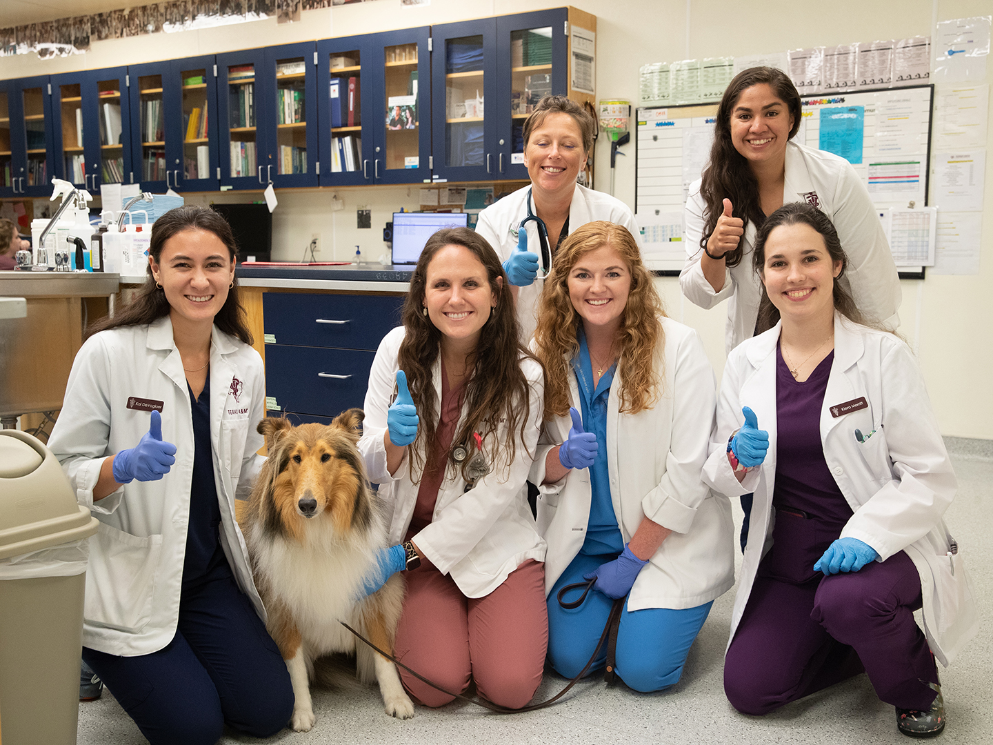 Six veterinary students in white coats with Reveille the collie