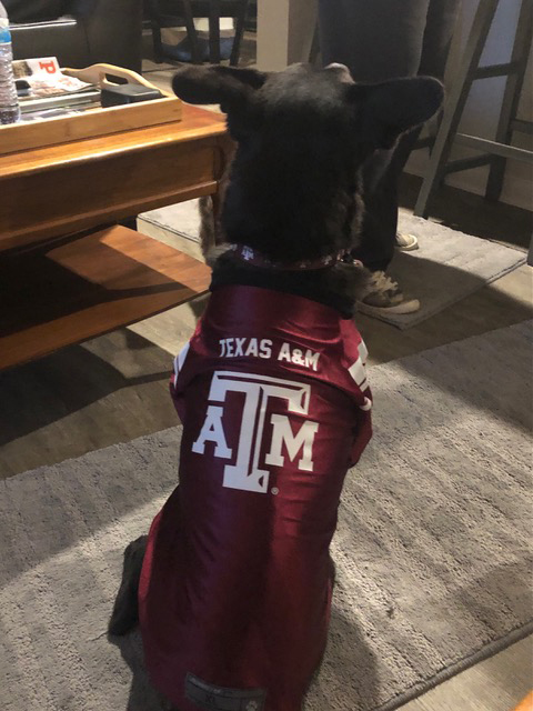 Ava from the back wearing a TAMU jersey