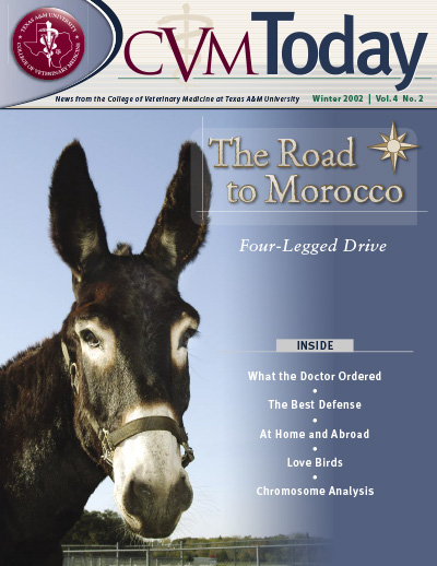 CVM Today - Winter 2002 Cover