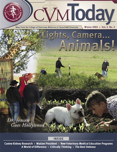 CVM Today - Winter 2003 Cover