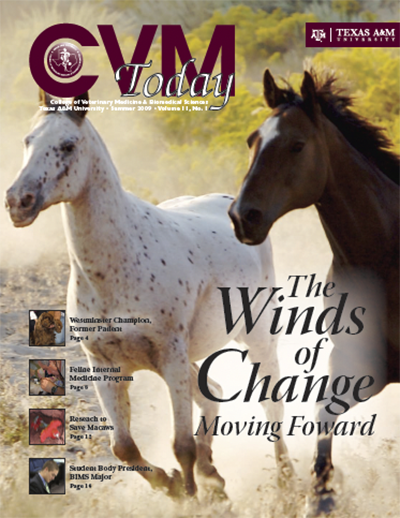 CVM Today - Summer 2009 Cover