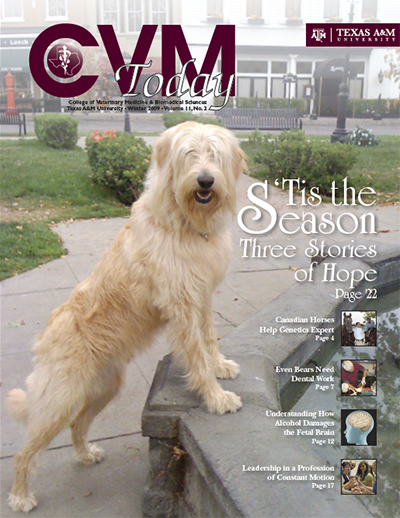 CVM Today - Winter 2009 Cover