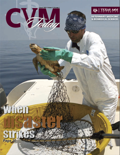 CVM Today - Summer 2010 Cover