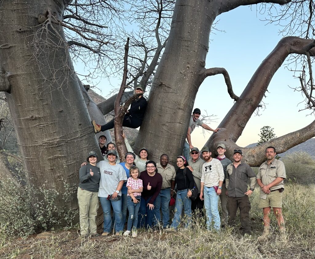 Students and faculty around a giant tree