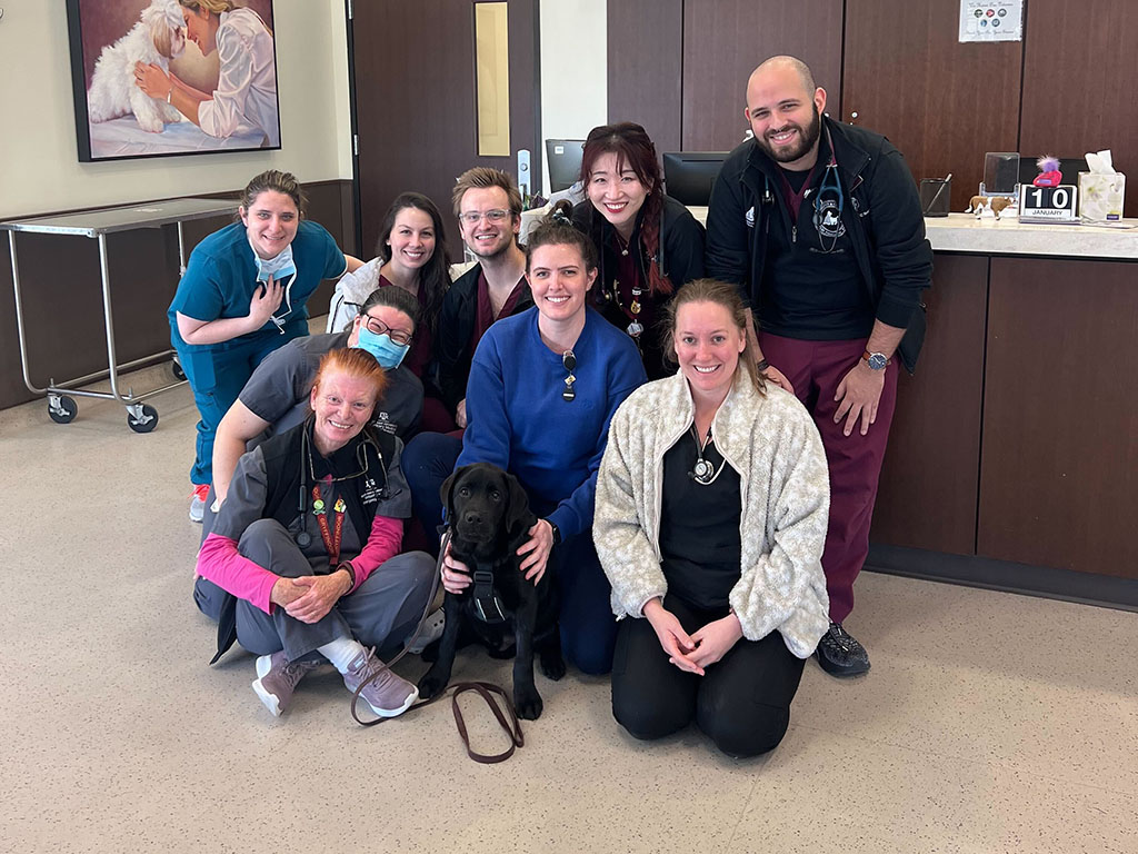 Parlay with the emergency veterinary team that saved his life from tetanus. 