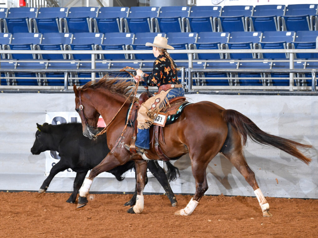 Fridley riding Ace chasing a black calf