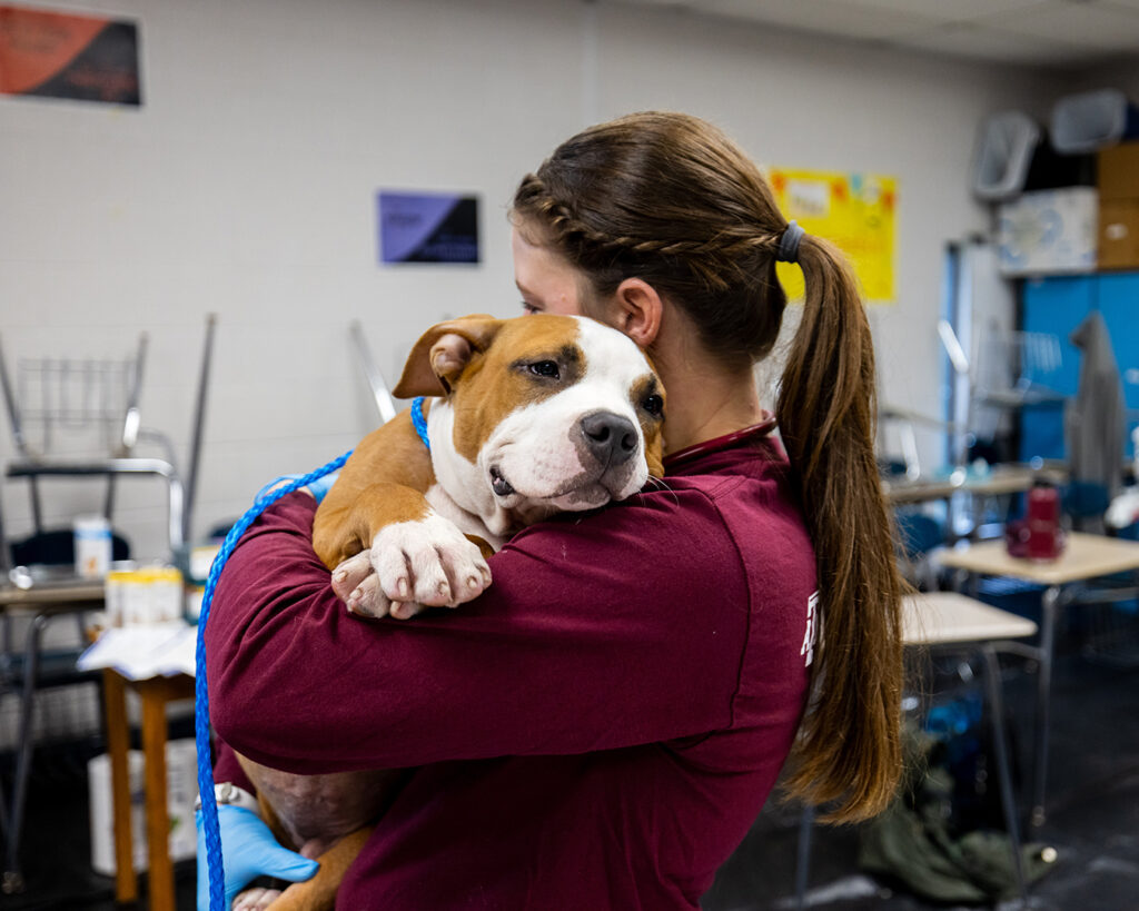 Large puppy looking content being held by a VET member