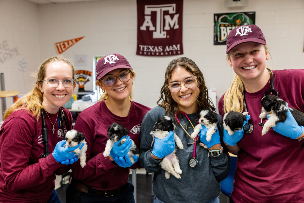 Four veterinary students holding six tiny puppies